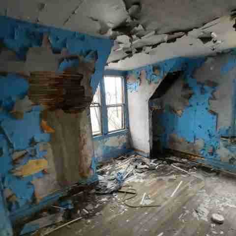 8031 conger (38).jpg